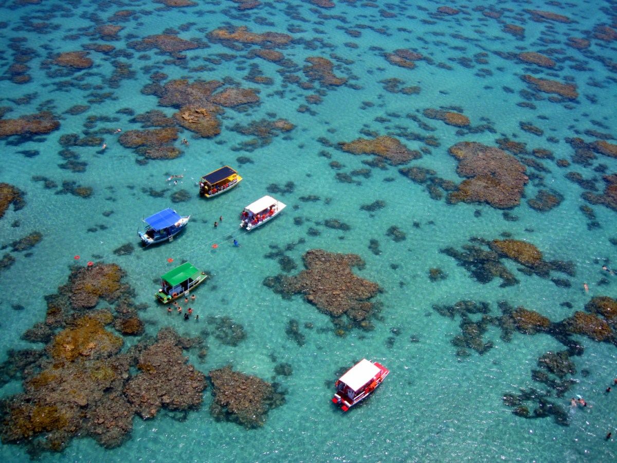 Maracajaú, mergulhe no Caribe brasileiro.